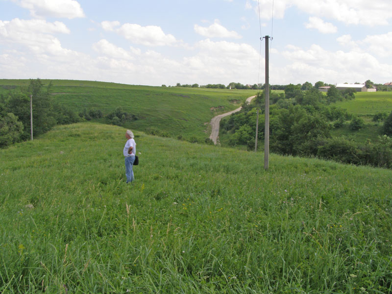 Загальний вигляд цвинтаря. На задньому плані - окраїна села Смотрич (до 1946 року - Татариски). Фото Сергія Єрмакова