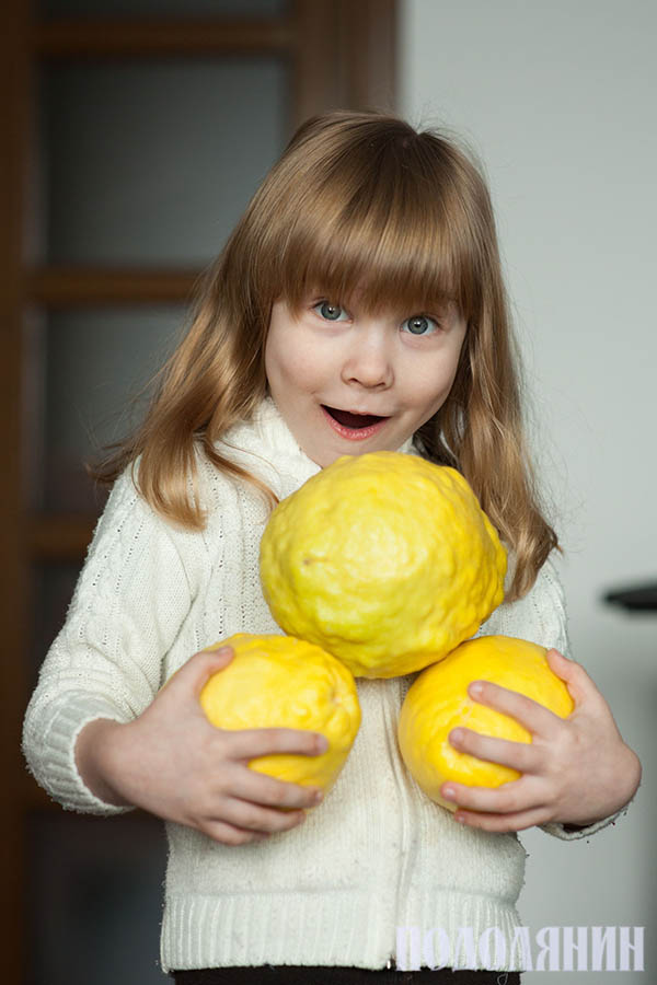 Онучка Улянка з лимонами сорту «пандероза»