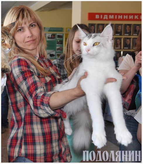 Володарка золота на Всесвітній виставці кішок у Мінську
