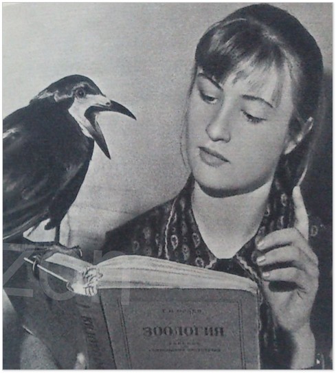 Грак Карпуша і Наталочка Куликова. Ілюстрація із книжки «Блакитний птах  у синьому небі»