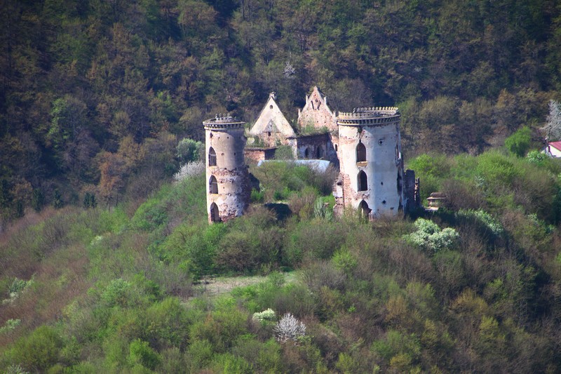 Панорама замку в Червоногроді
