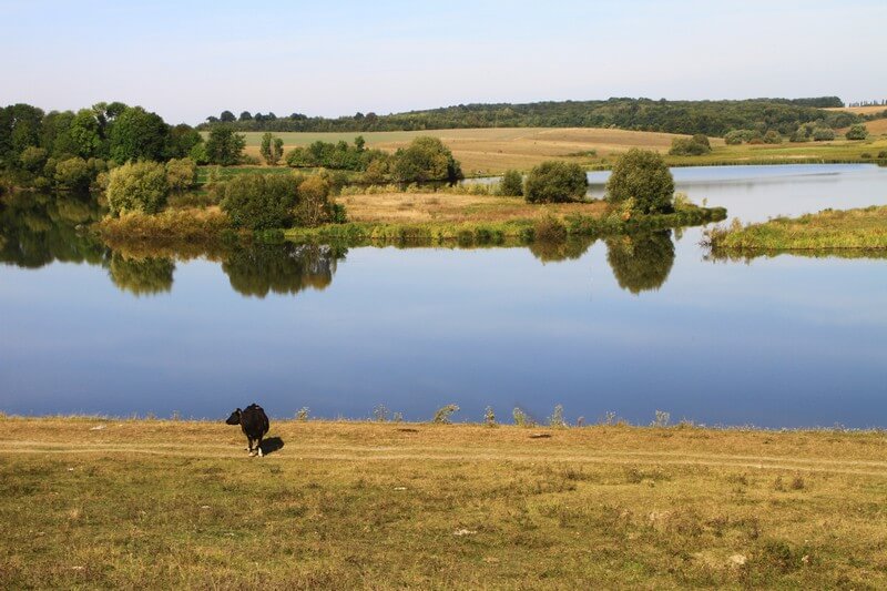 Краєвиди біля Удріївців