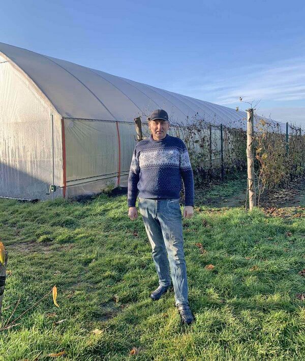 За спиною господаря - теплиця для винограду